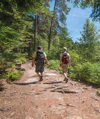 camping-montagne-noire-randonnee-inspi-th